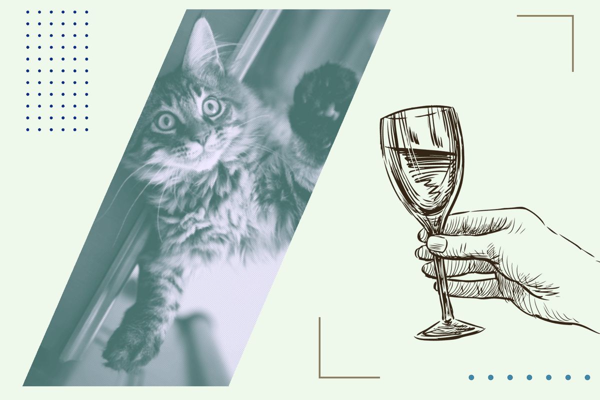 ����� �������������� ���� ��� ����� � �����: ����� �� ��� ������ ��������?