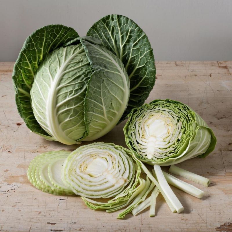 ������� ������� �������� �������: ������ �� ���������