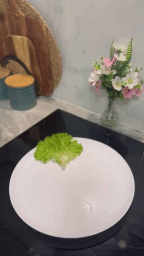 ��������� ���� ��� ����������� �������: ������� ������!