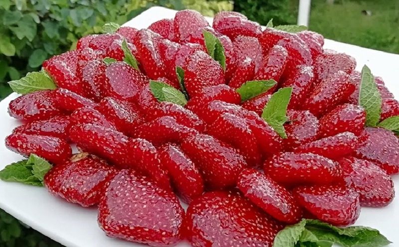 ������ �� ��������: ������������ ���������, ������� �������� ���������� ��������