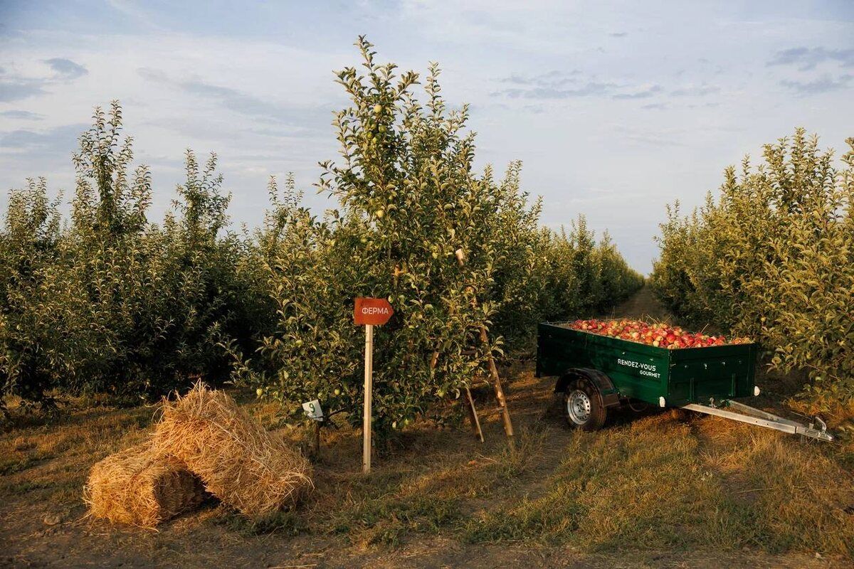 � Rendez-Vous ���� ��������: ��� ������� �������� ���������� ������ ������������ �����