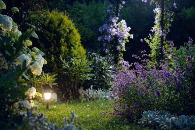 Создаем волшебный сад под сиянием луны — от замысла до воплощения