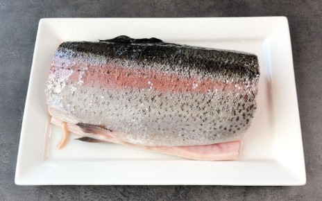 ���� � ����� �����: ������� ������ ��� ��������