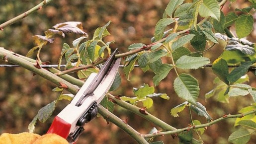 ������ �� ������� ������� ���: ��� ��������� �������� ������ � ������� ���������� ������