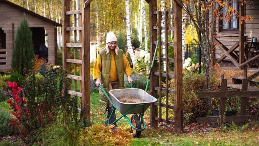 ����������� ������� � ����: �������� ����� ��� �������� ������� ��������