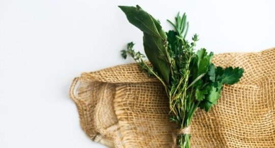 ������ ������ �����: ��� ��������� ����� ������ ���� ����