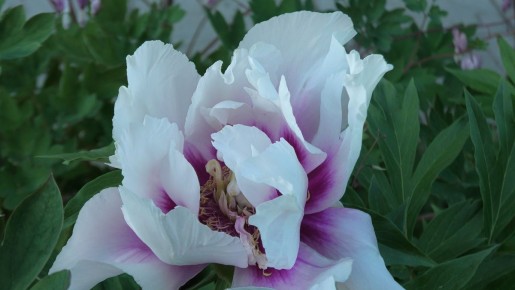 ���� ���� �����: ��� ����� ����� �� ���� �������������� �����