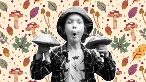 ����� ������� �������: ��� �������� �������� ������� � �����������