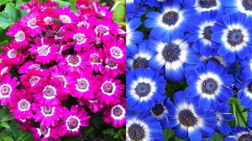 ���������: ����� ������ ������ ����!