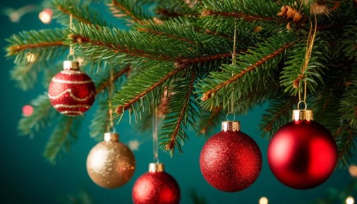 � ����������� 2026 �����!