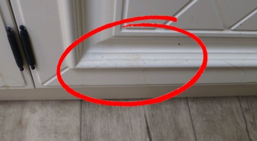 ��� ������� ������� ������� ����� ����� ����� ����: ������� � ����������� �������