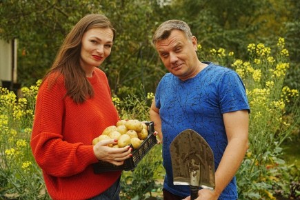 ��� ���������� ������������ ������ ������� ��� ������ ������