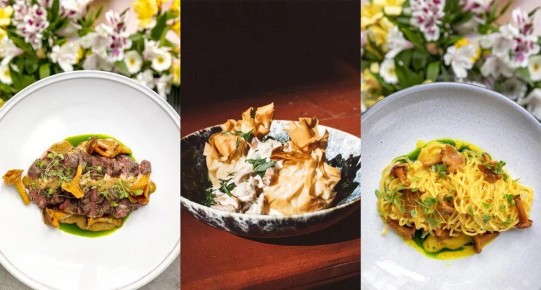 Летние деликатесы: вдохновляющие рецепты с лисичками