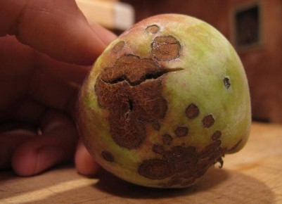 ������ ��������� ��������: ��� ���������� � ������ � ��������� ������