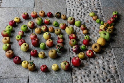 Slow food: ��������� ������������ ������ � ���������