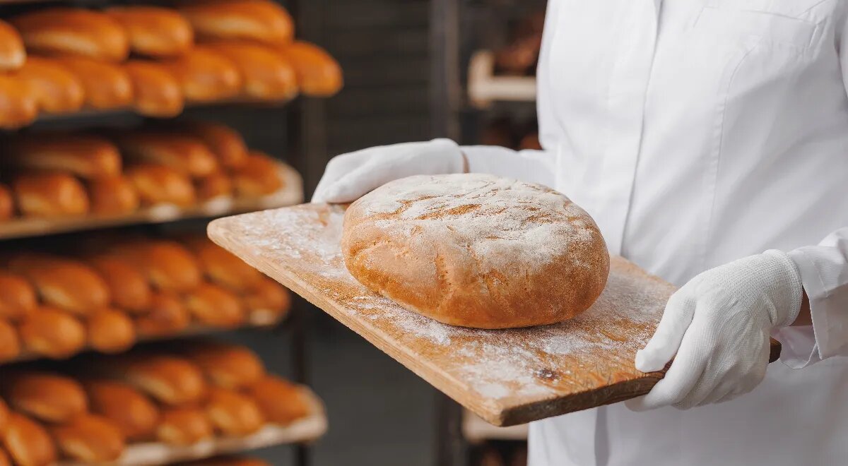 Хлеб нового поколения: в России начали готовить продукцию из сверчков и водорослей