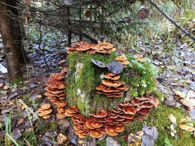 �����: �������� ��������� ��� ������ ��� ��������?