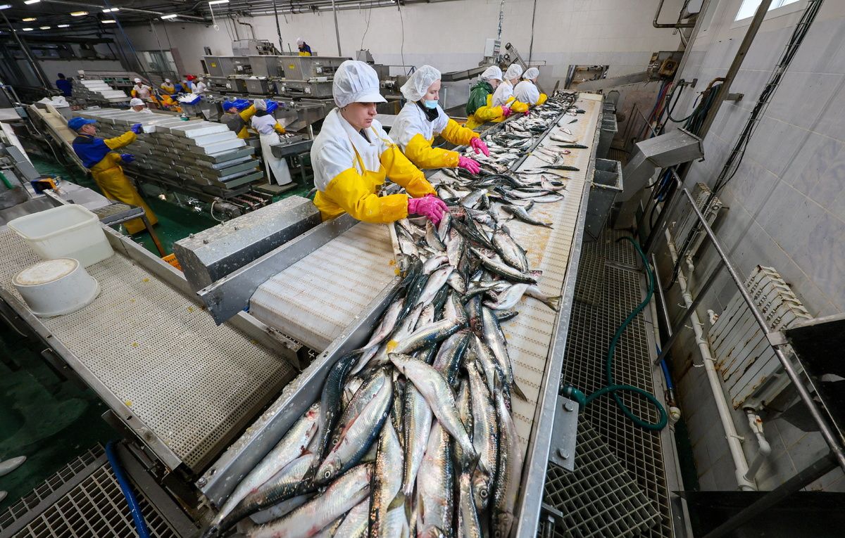 ������������� ������ �������� ����������� ���� �� ���� ����� �����