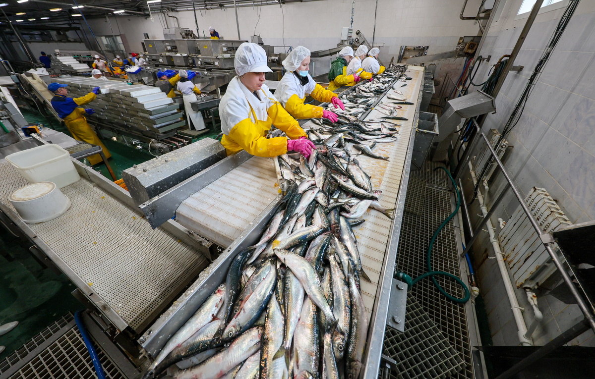 Правительство России начинает отслеживать цены на рыбу через биржу