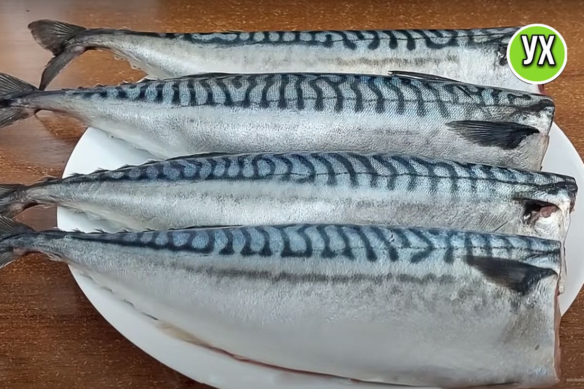 ��� ����������� ��������: ��� ������� � ������� �������