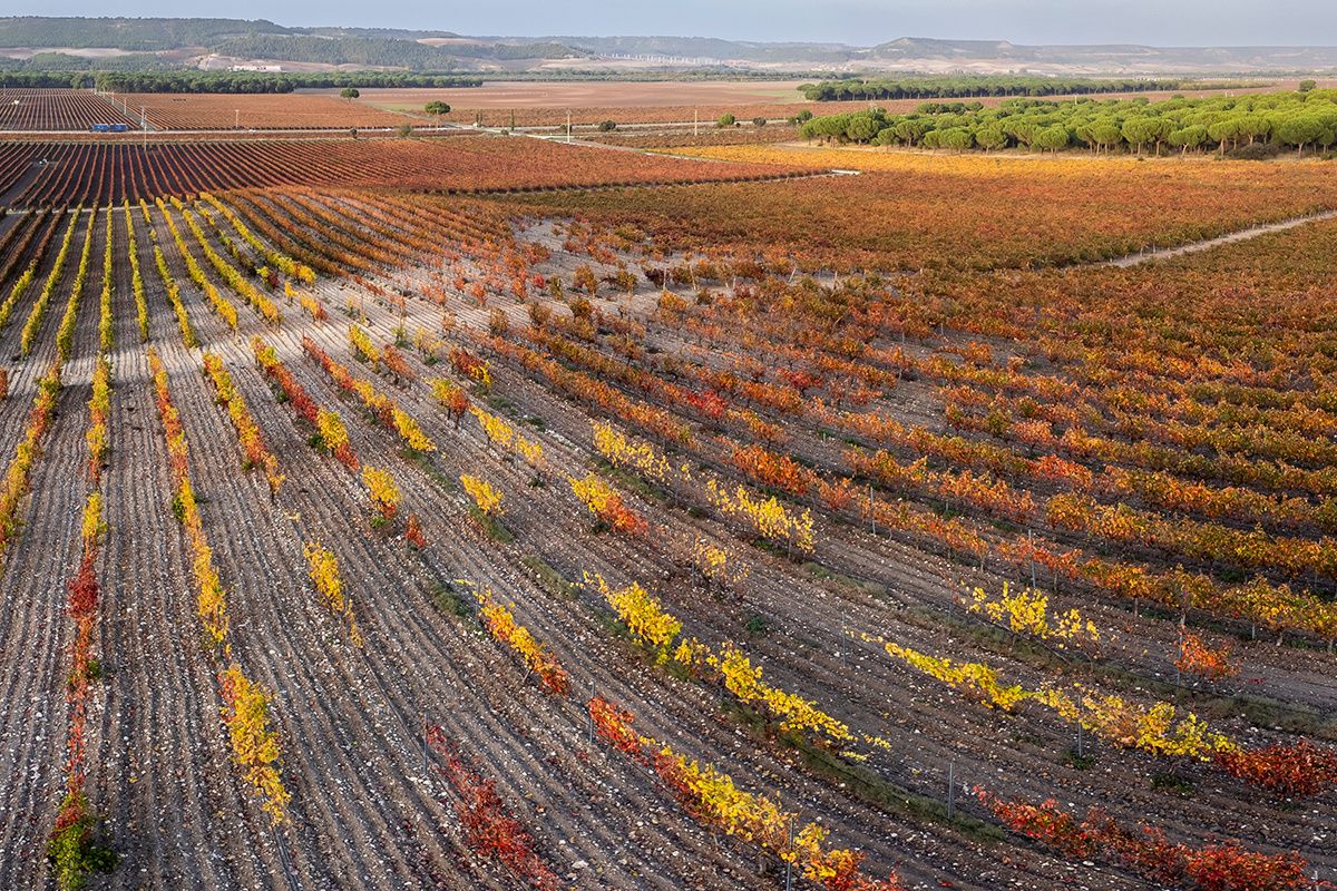 ������ �������� ���������� ����: ��������� ��������