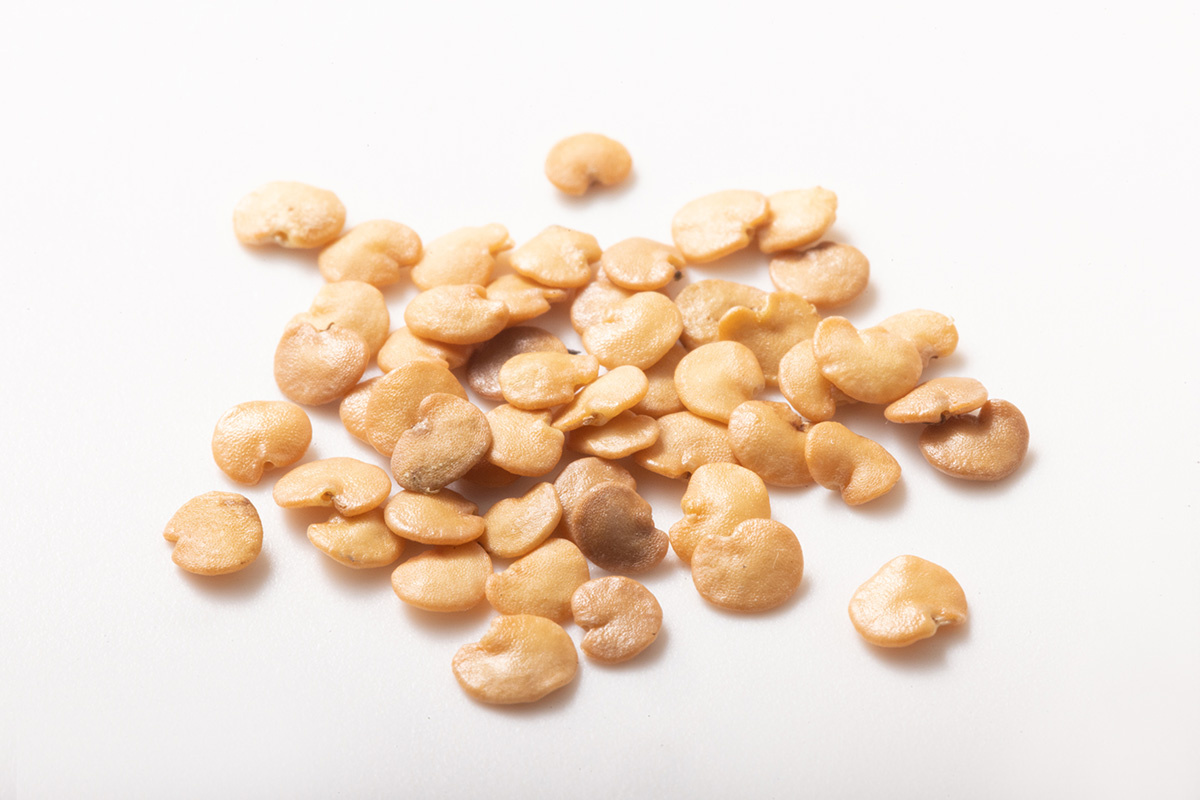 Секреты успешной рассады баклажанов: от выбора семян до пересадки