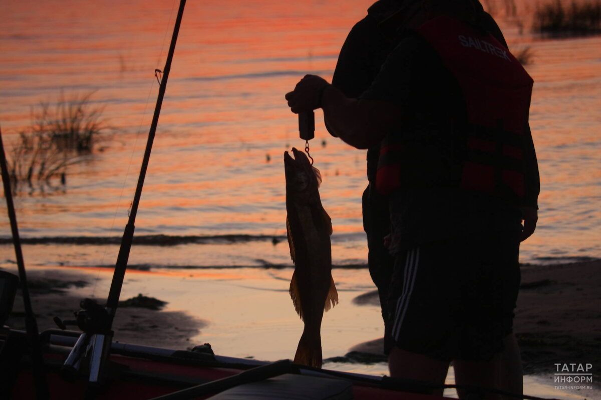 ������ ������� ������ ������ ������ ��-�� ������������� ���������