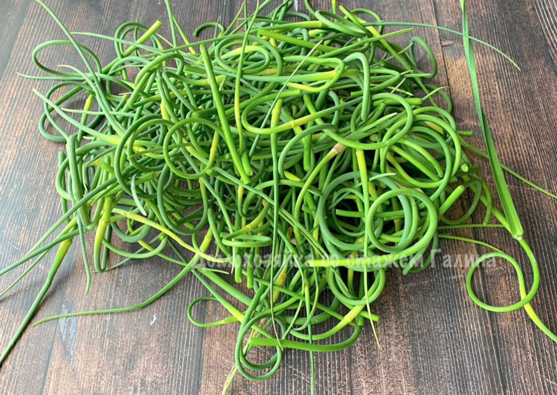 ��������� �����: ��� ��������� ����������