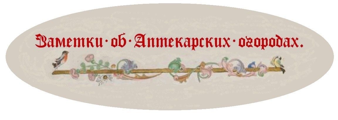 ������� �� ������: ������������ ���� � �������� �������������