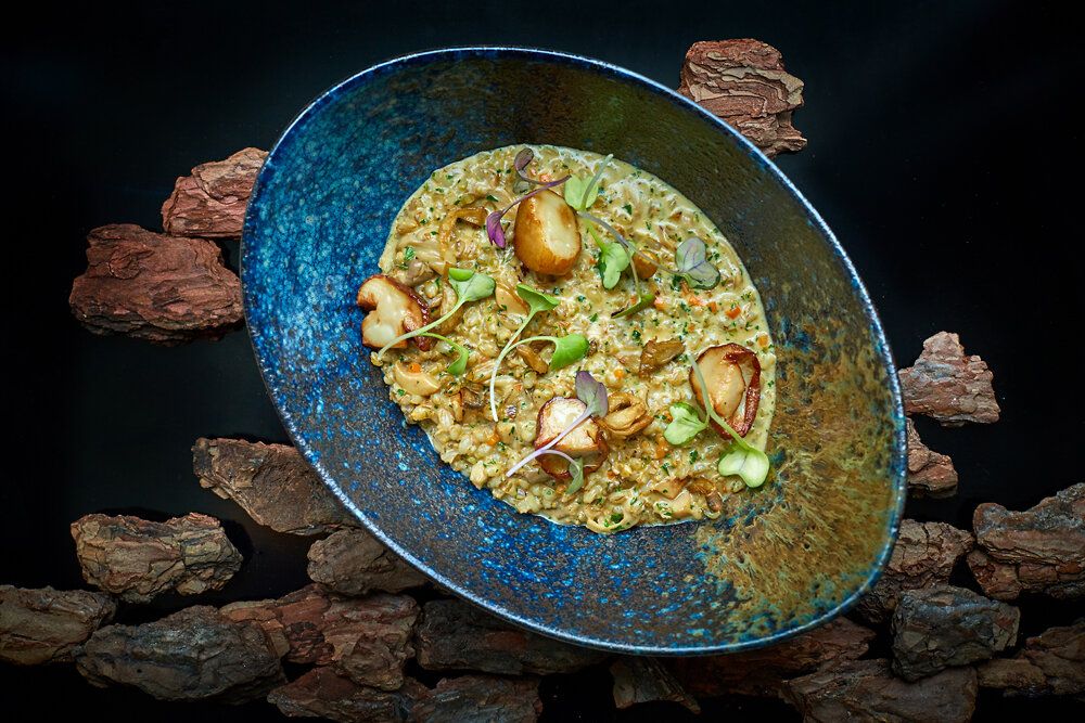 ���-5 �������� ���� � ������� ��� ��������