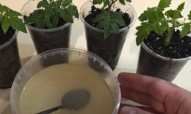 ��� ����������� ��������� � �������� � ����� �������� �������