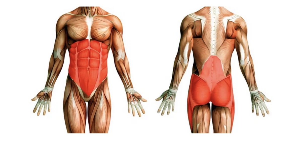 Как фитнес-ролл помогает чувствовать себя легче и энергичнее