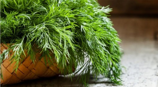 �������� �����: ���������� ������ ������������� �����