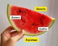 Странные названия арбузных дольков: что думает Россия?