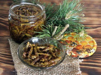 ��� ����������� ������������ ������� �� �������� �������