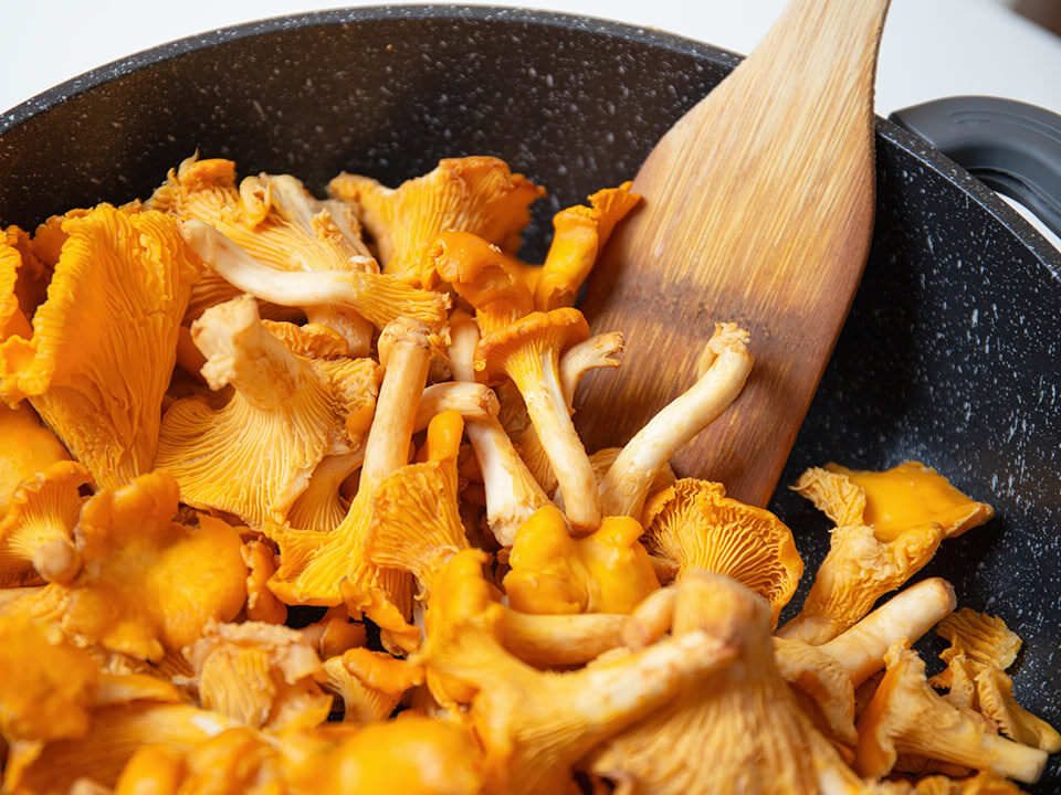 Лисички: короли осеннего стола