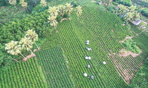 ������ ������������ ������� ������� �� ���� ������