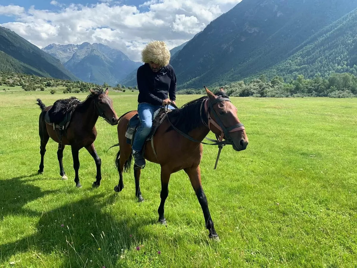 Как старый конь стал победителем на скачках