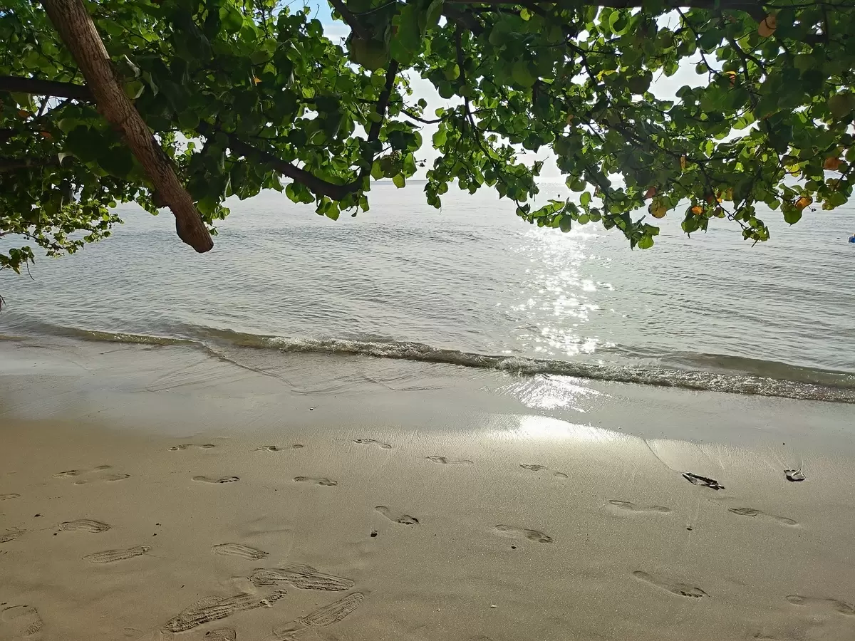 Вкусные приключения: как устроен буфет морепродуктов на острове Чанг