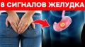 Зимняя тяжесть после еды: как прожить холод без лишнего давления на живот