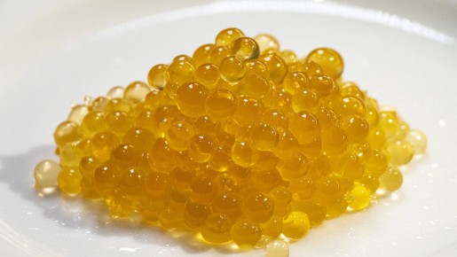 ��� ����������� ������� ����: ������� ������������ �����