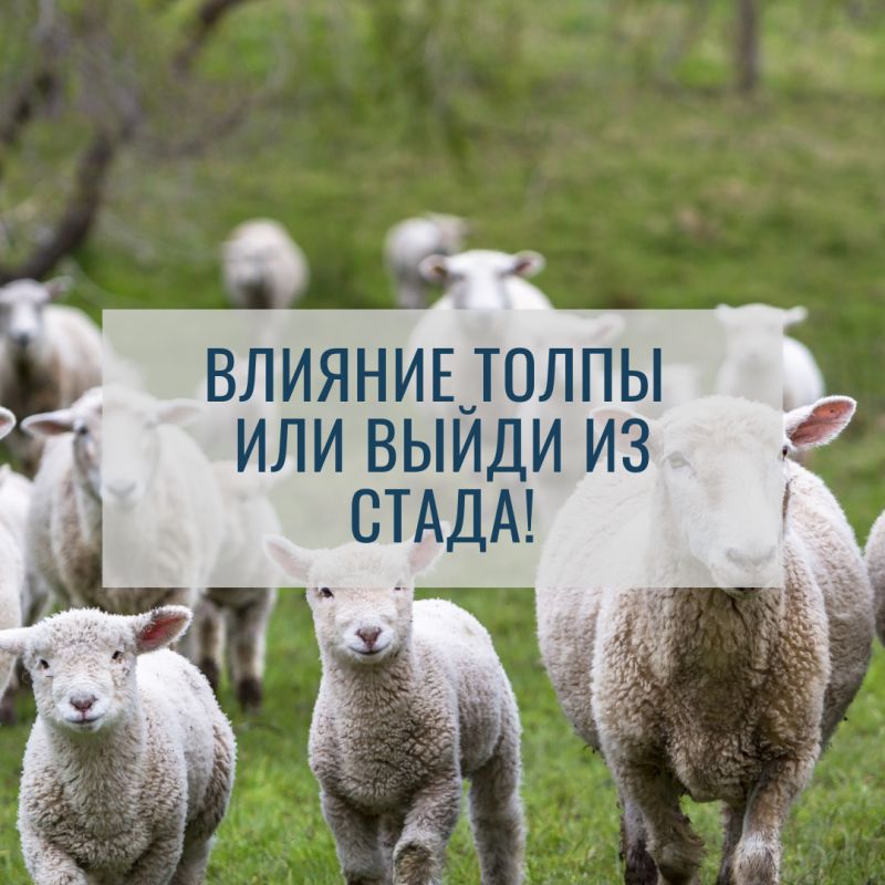 Толпа и влияние: как не стать жертвой массового сознания