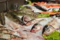 Как увидеть качество мяса и рыбы на витрине и выбрать без ошибок