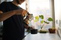Кофейная революция: американцы предпочитают пить кофе дома