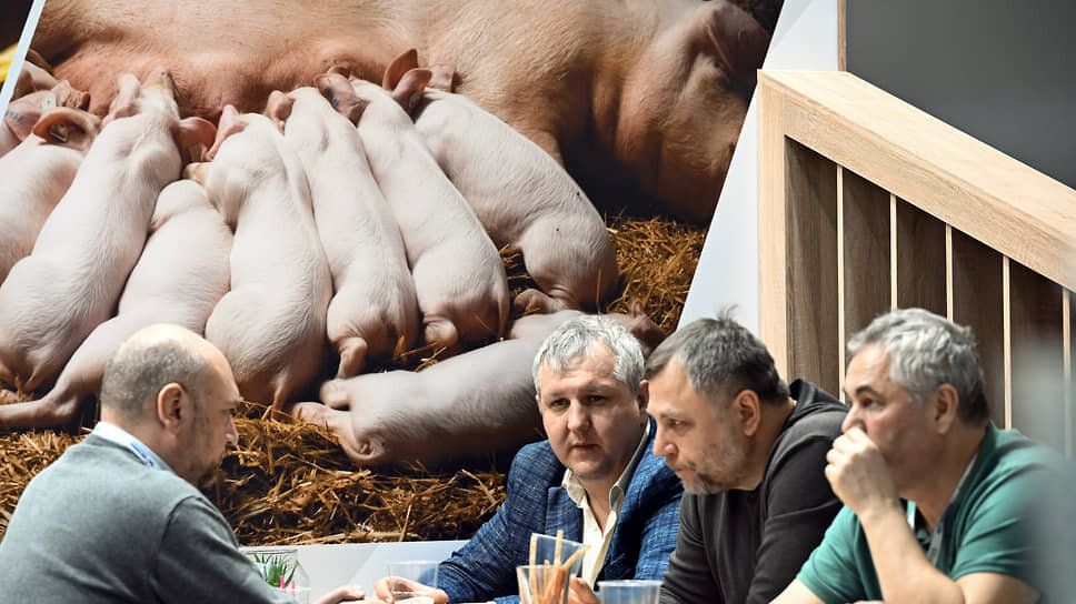 Цены на свинину обрушились: что ждет рынок?