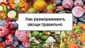 Ошибки при разморозке овощей: как сохранить вкус и пользу